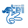 STEI-K 25 Logo